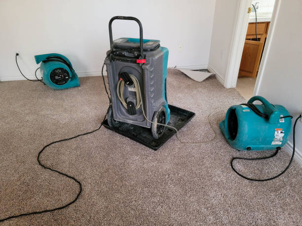 Best Water damage restoration near me  in Iyanbito, NM