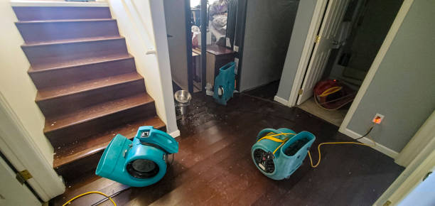 Best Flood restoration services  in Iyanbito, NM