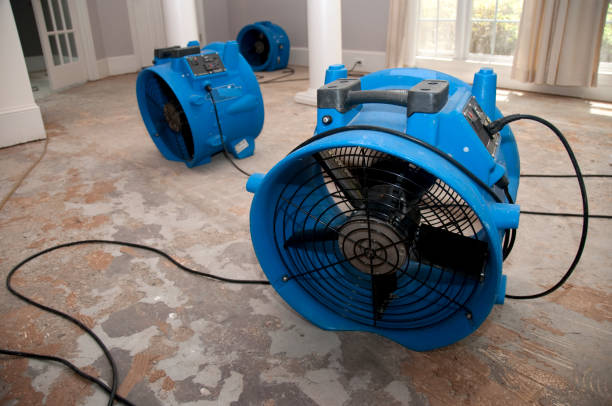 Best Ceiling water damage repair  in Iyanbito, NM