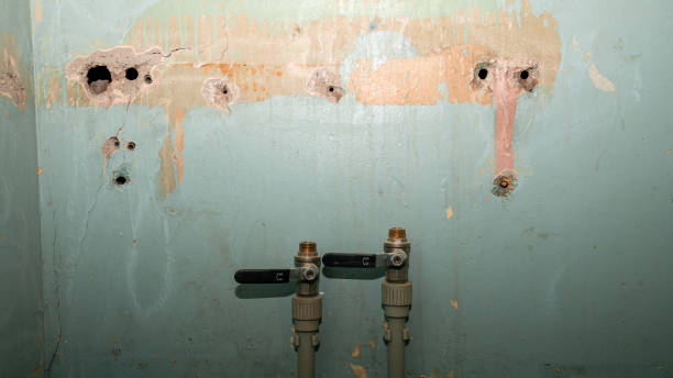 Best 24/7 water damage repair  in Iyanbito, NM