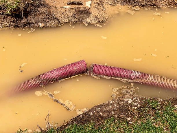 Best Local water damage restoration  in Iyanbito, NM
