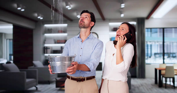 Best Ceiling water damage repair  in Iyanbito, NM