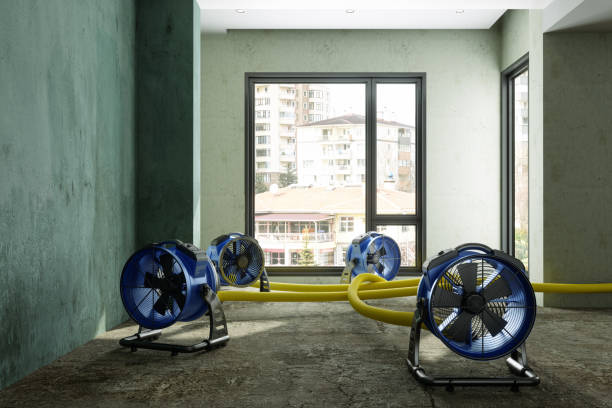 Sewage cleanup and water damage restoration in NM