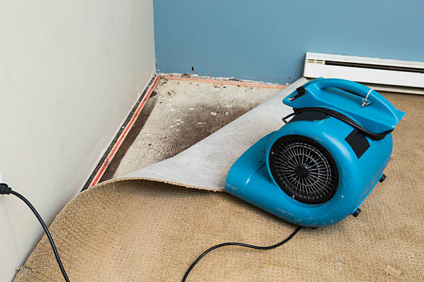Best Flooded house restoration  in Iyanbito, NM